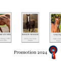 Promotion 2024