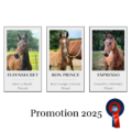 Promotion 2025