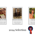 2024 selection