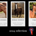 2024 selection